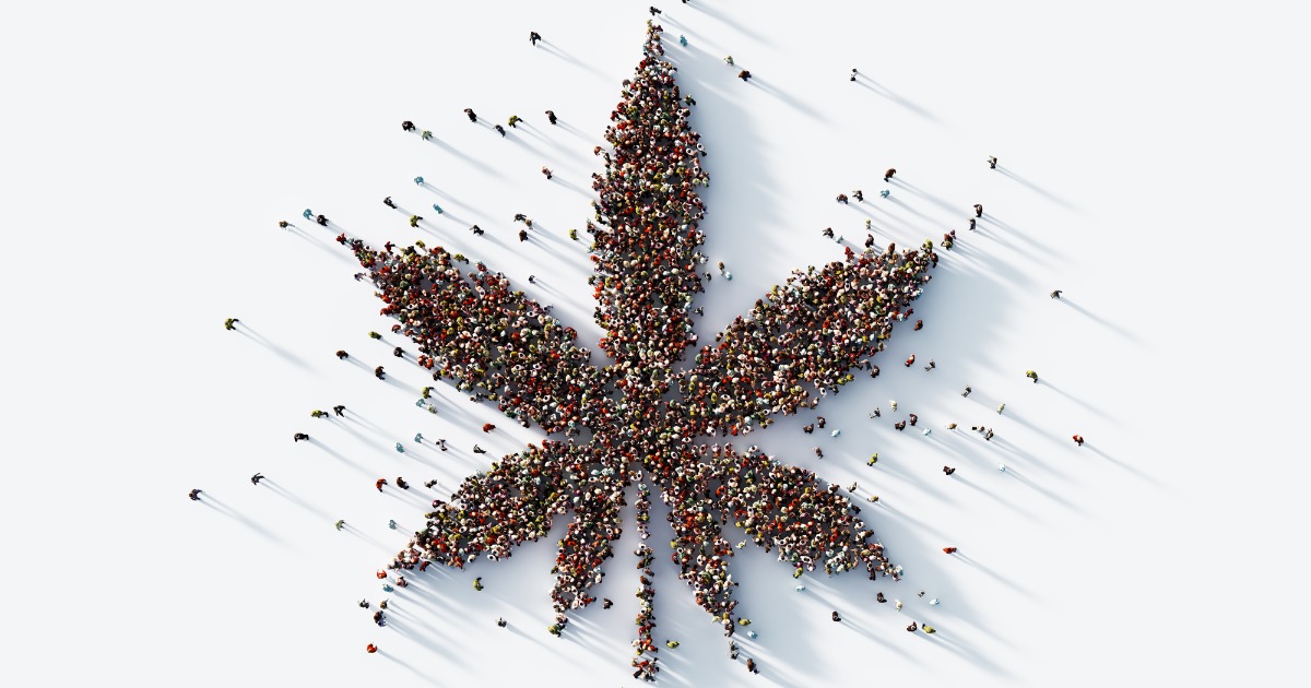 Human Crowd Forming Marijuana Leaf Ariel View