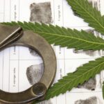 Marijuana Possession Laws 2019