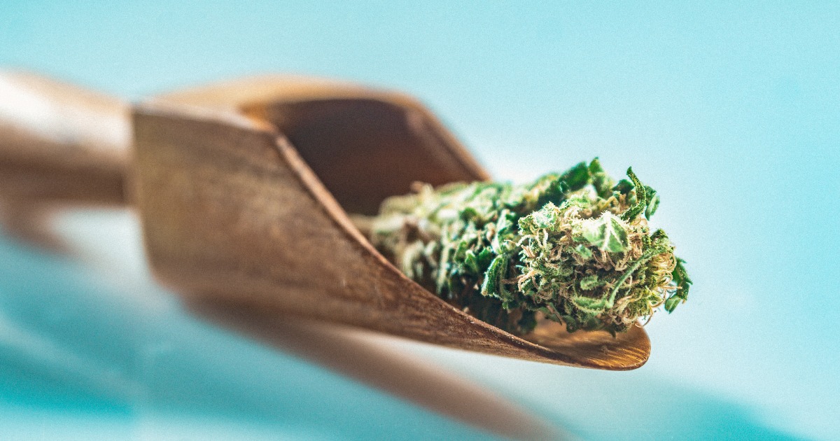 Scoop of Marijuana Flower