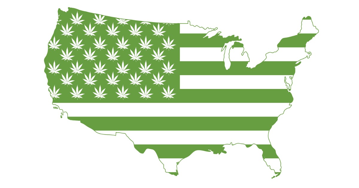 Illustrated Map USA with Marijuana Leaves for Stars
