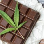 Can You Buy Edibles in Florida?