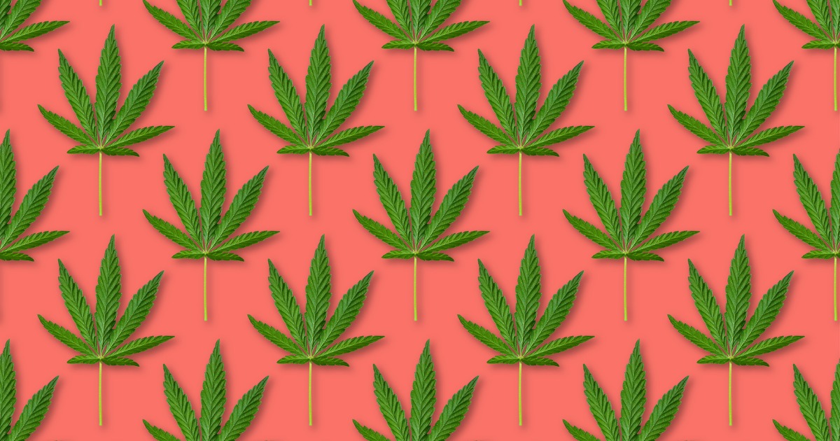 Cannabis Leaf Pattern Illustration