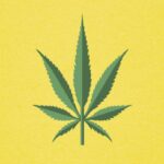 How Can Patients get a Medical Marijuana Card Sarasota