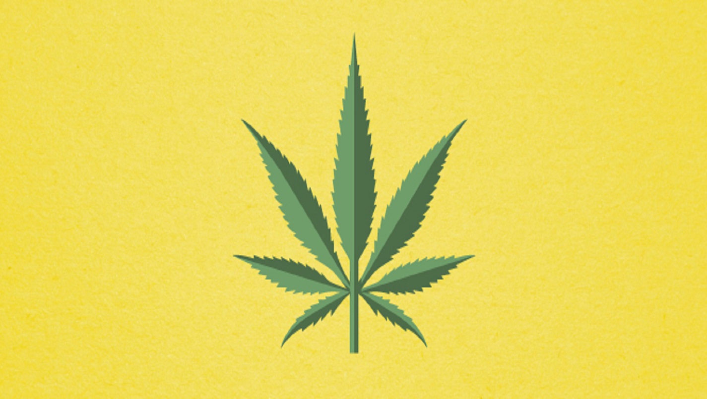 Marijuana Card Sarasota