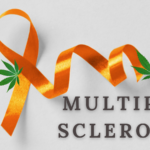 Exploring Marijuana's use in Multiple Sclerosis