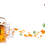 Can Cannabis Affect Your Memory?