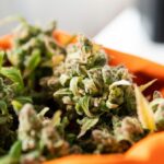 Can You Get a Marijuana Card Online?