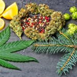 Marijuana Terpenes and Their Effects