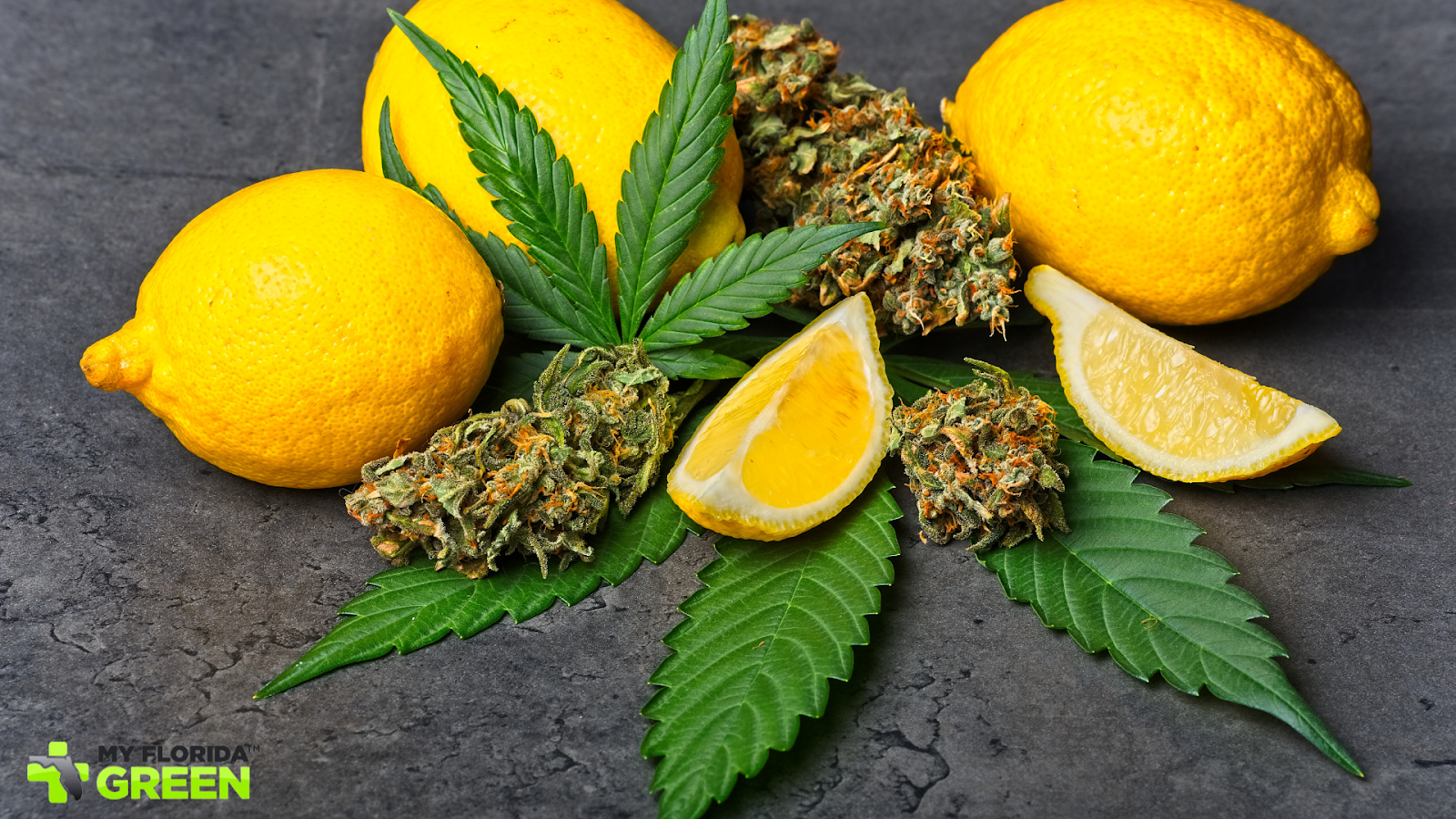 terpenes can interact 