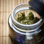 Best Way to store Medical Marijuana for long term