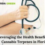 Leveraging the Health Benefits of Cannabis Terpenes in Florida