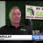 Impacts of Recreational Legalization on Medical Cannabis in Florida