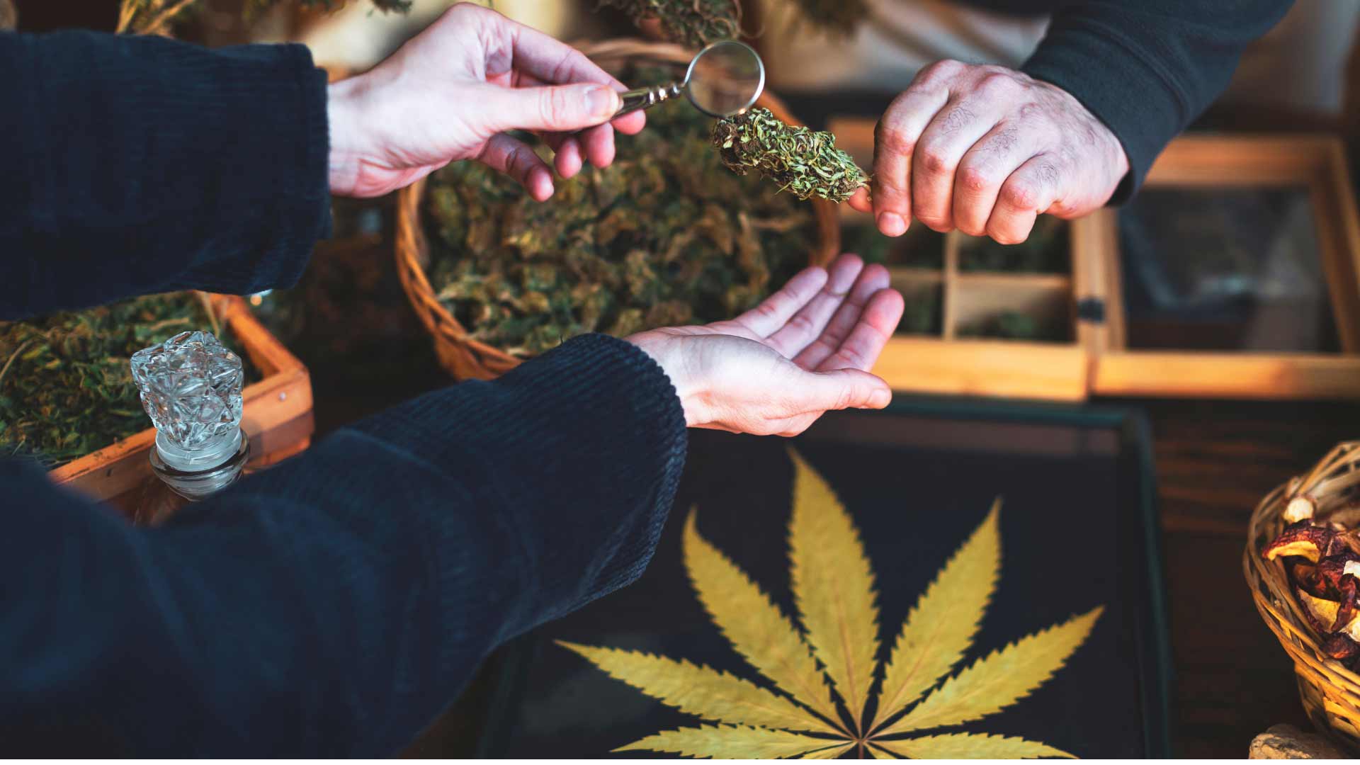 Exploring the influence of Medical Cannabis on health