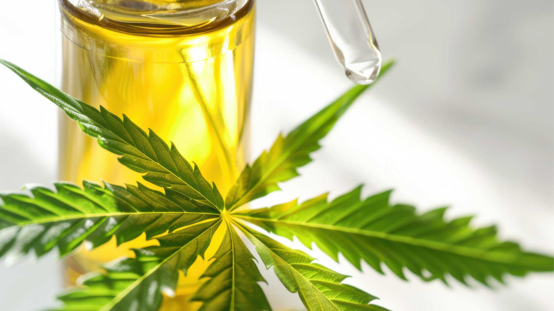 Cannabis Tinctures and their Unique Effects