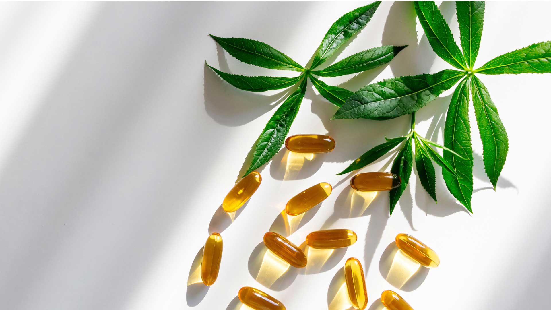 How long does Cannabis (marijuana) stay in your system?