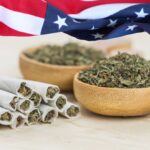 Is Medical Marijuana legal in the USA?