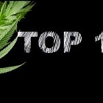 Medical Cannabis and your health: Top 10 ways to reduce risks
