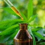 Your Complete Guide to Rick Simpson Oil (RSO): How to Use, Benefits