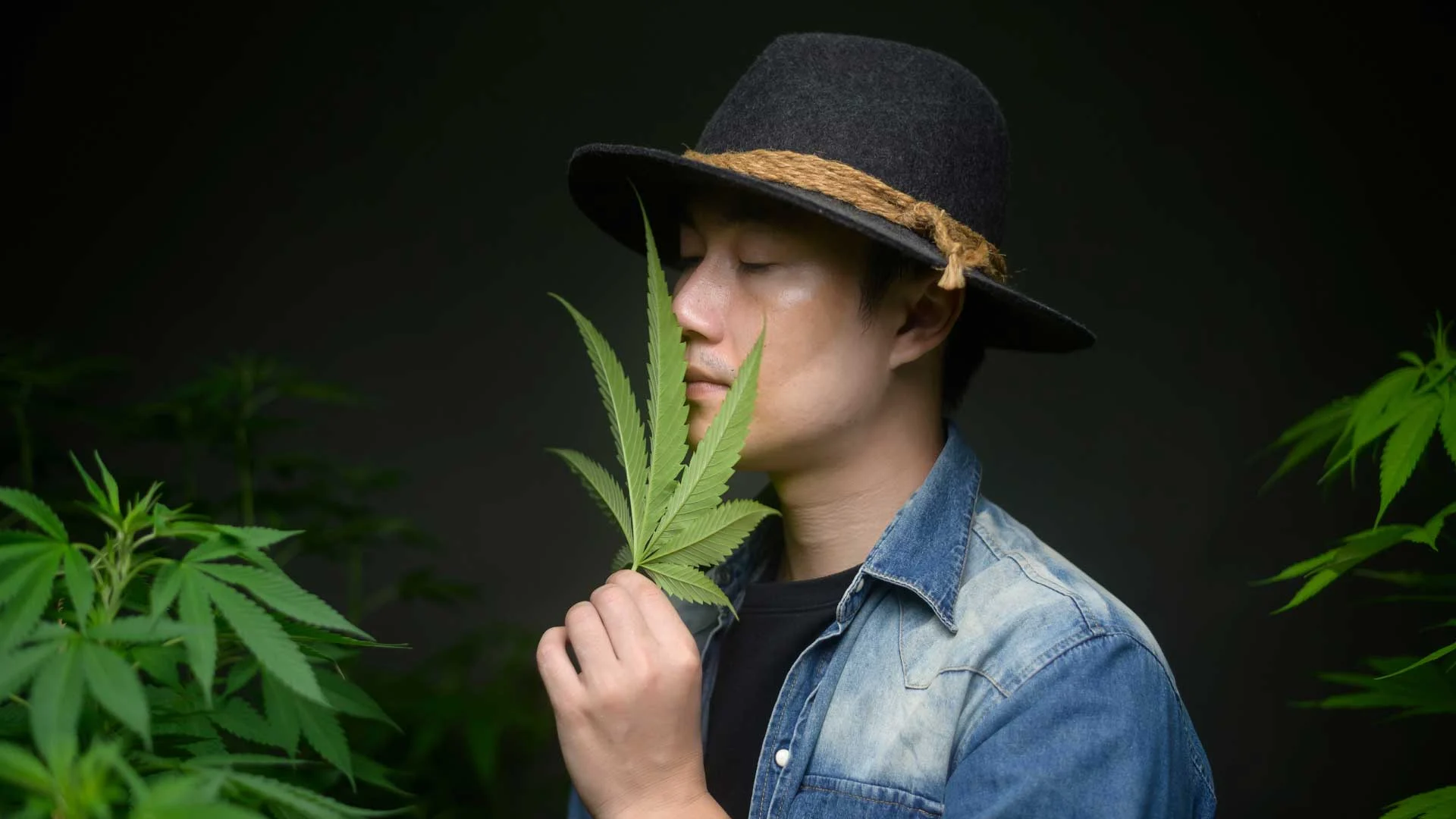 Does weed make you lazy