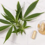 Tetrahydrocannabivarin (THCV) Benefits: Details You Must Not Miss