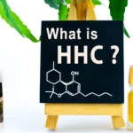 What is HHC? Things You Must Know About This Cannabis Compound
