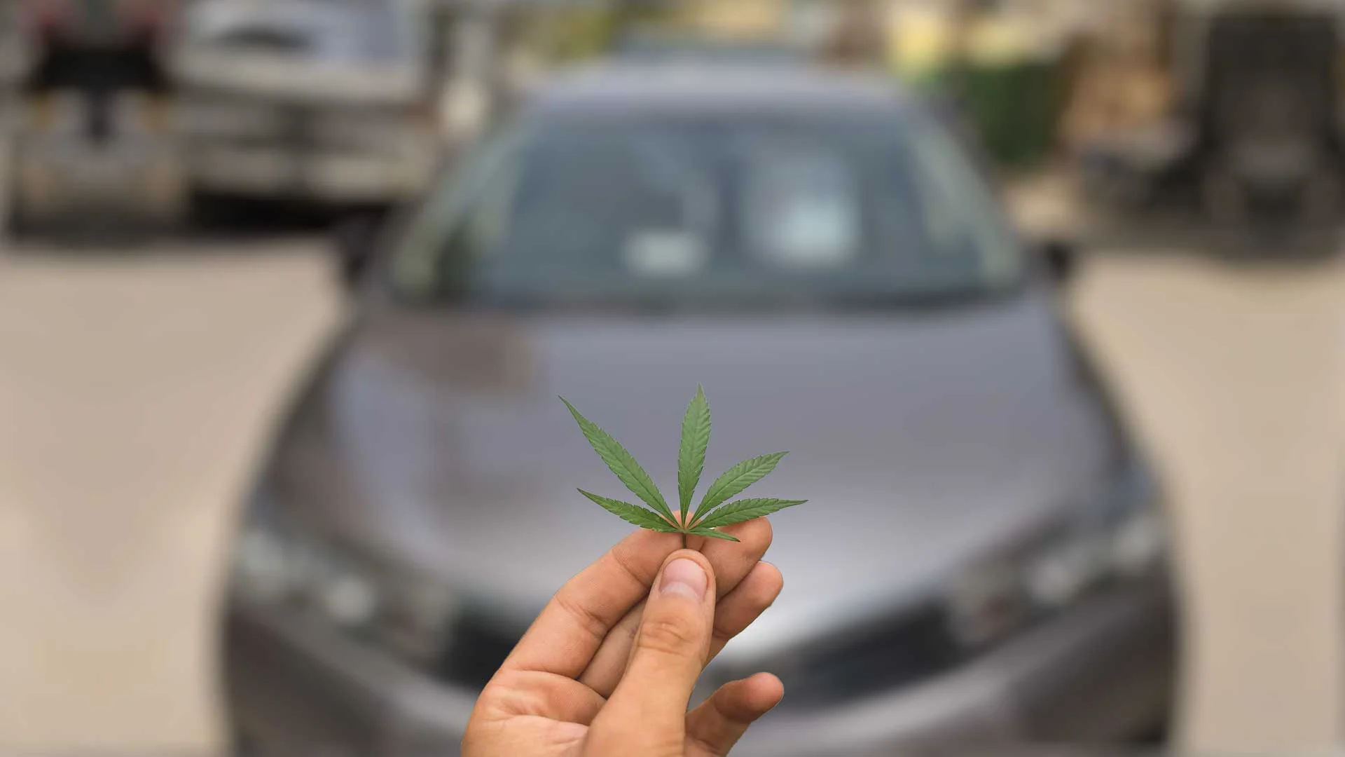Cannabis and Driving Safety