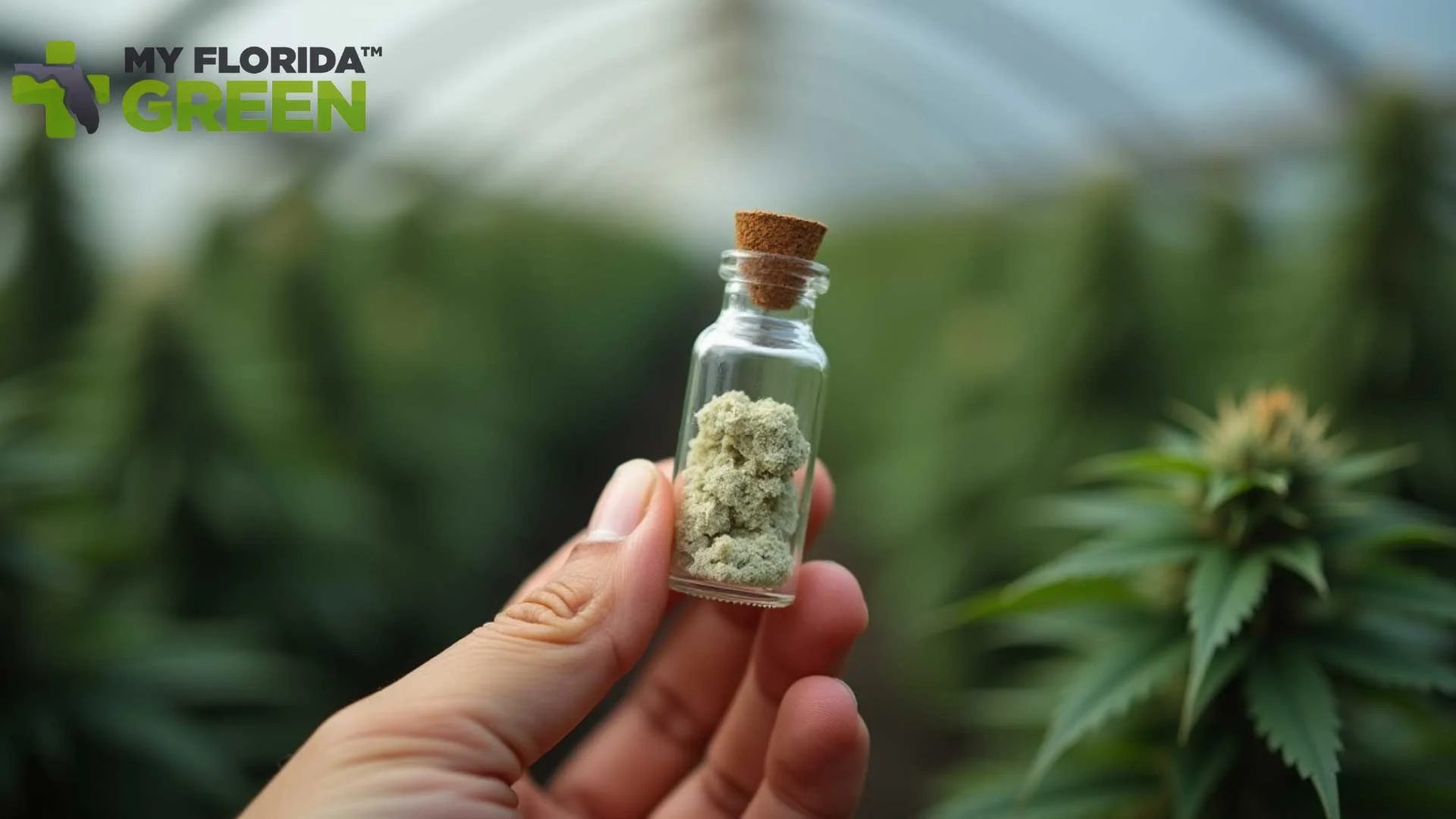 Top Benefits of Medical Marijuana for Moms Today