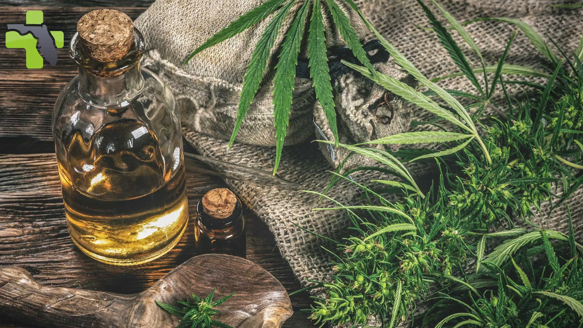 What is the future of cannabis in the USA?