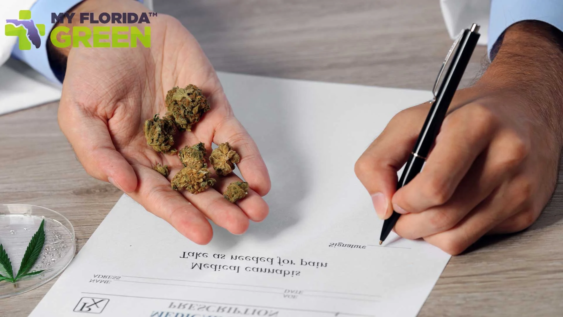 Becoming a Medical Marijuana Doctor in Florida