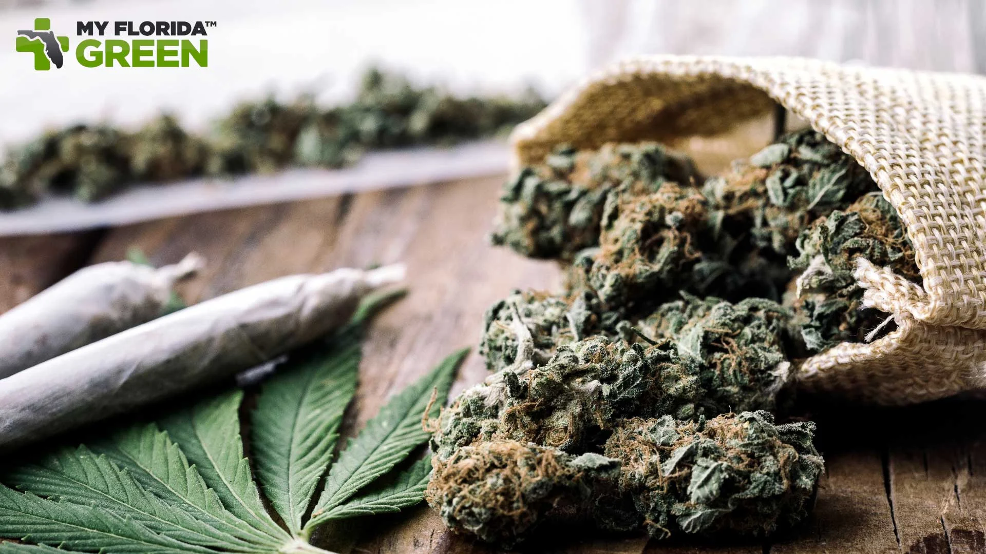 Medical Marijuana Card vs Recommendation Explained