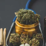 Qualifying Conditions for Medical Marijuana Card in Florida