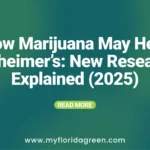 Medical Marijuana for Alzheimer’s: What New Research Shows