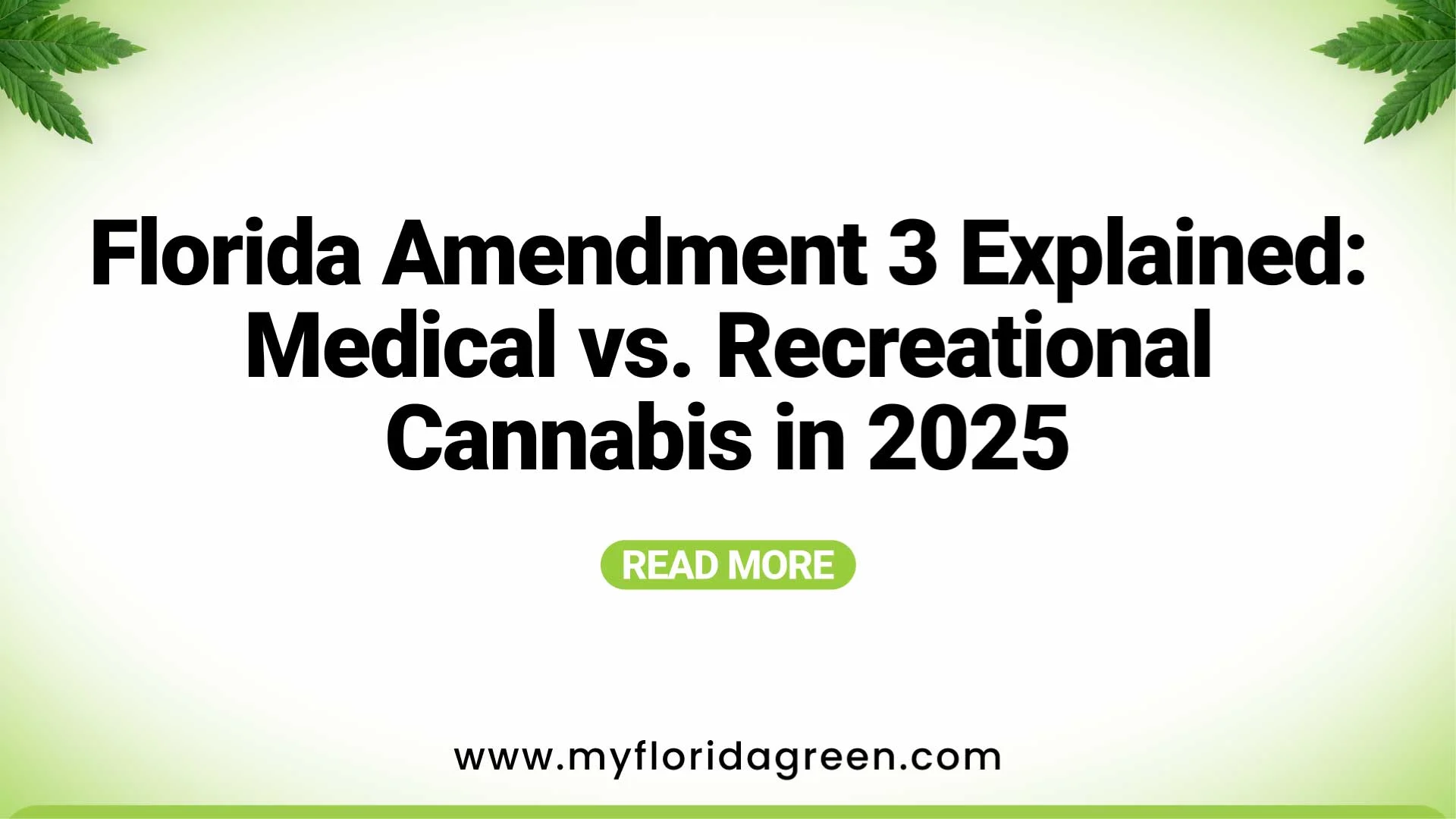 Medical vs Recreational Cannabis 2025