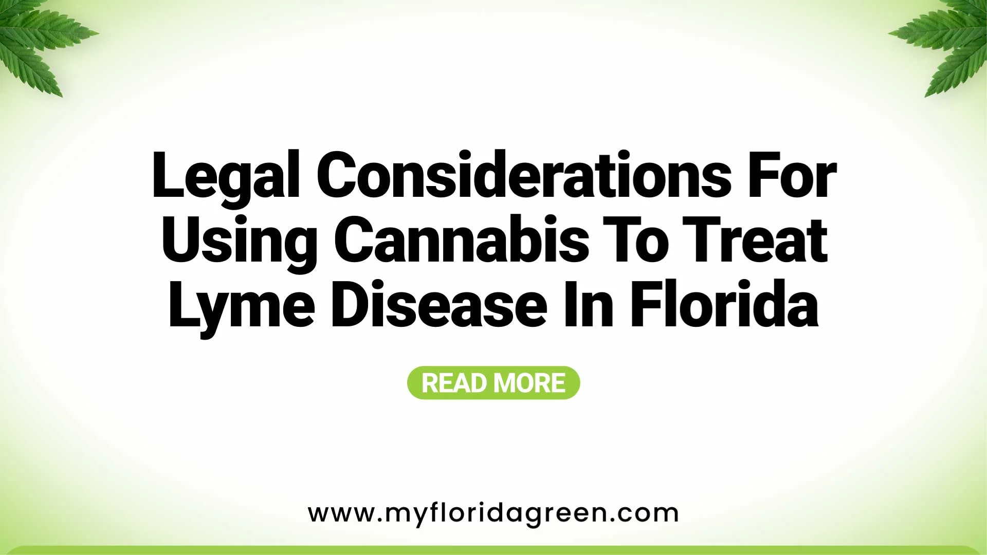Legal Guide to Using Cannabis for Lyme Disease in Florida