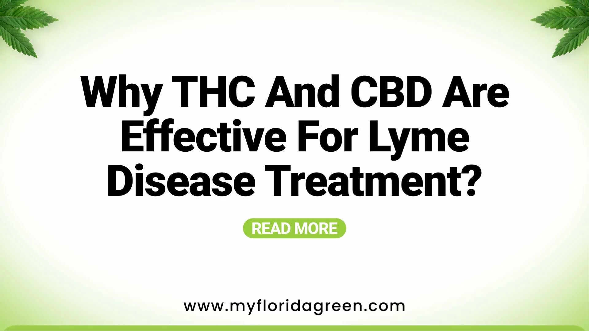 Why THC and CBD are Effective for Lyme Disease Treatment