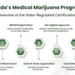 What Is Medical Marijuana and How Does It Work in Florida?