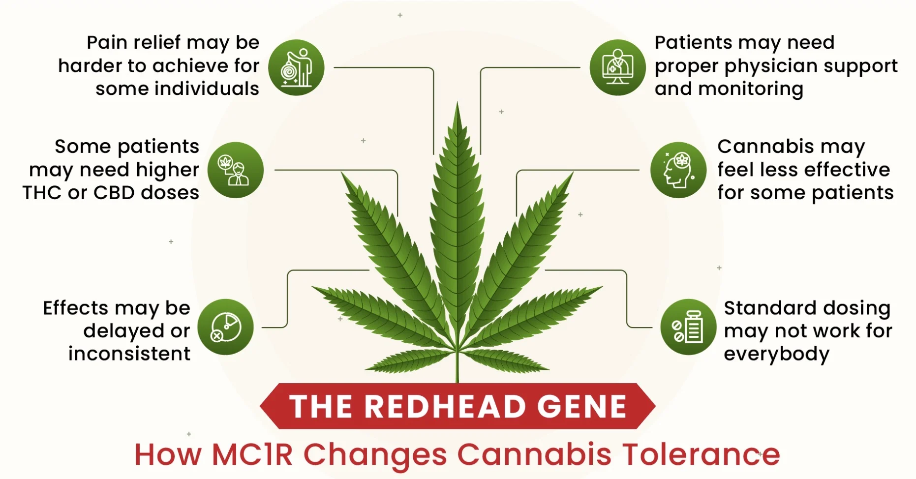 Why Redheads May Have Higher Tolerance to Cannabis