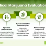 Medical Marijuana Evaluation Explained: What Physicians Assess During Your Appointment